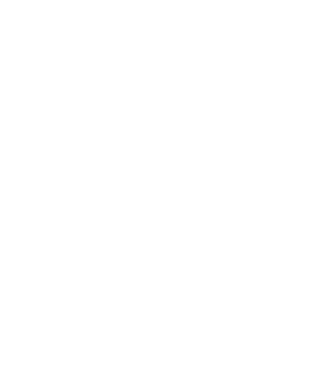 National African American Child and Family Research Center's vertical white logo