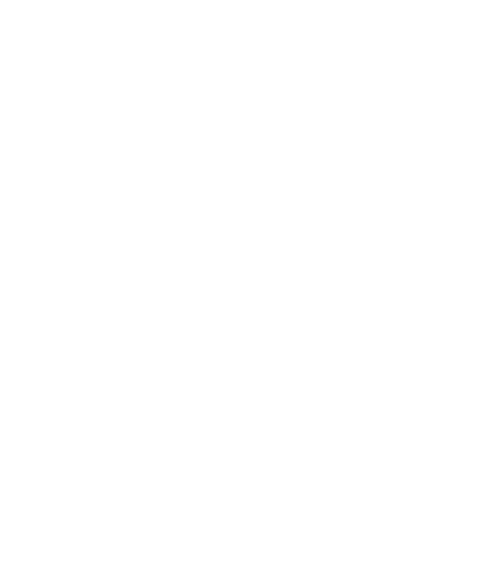 National African American Child and Family Research Center's vertical white logo