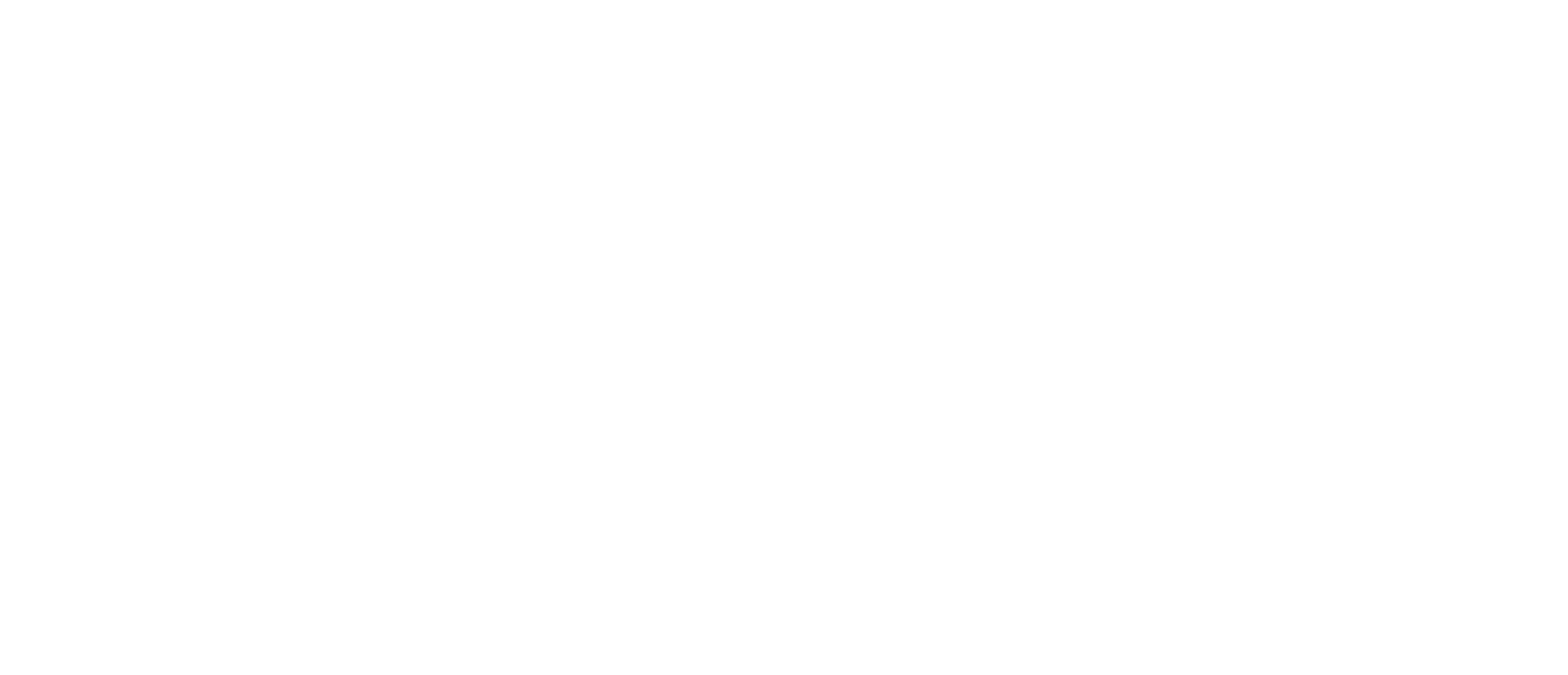 National African American Child and Family Research Center's horizontal white logo